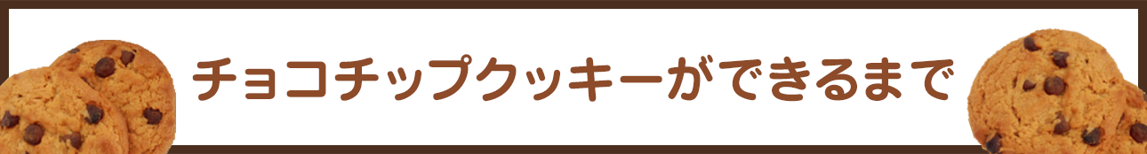 クッキーができるまで